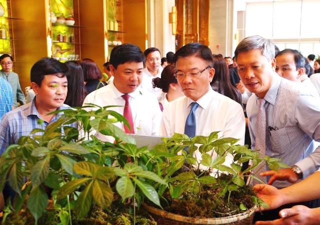 Sâm Ngọc Linh được trưng bày tại một hội nghị ở Quảng Nam. Sâm Ngọc Linh được trưng bày tại một hội nghị ở Quảng Nam.