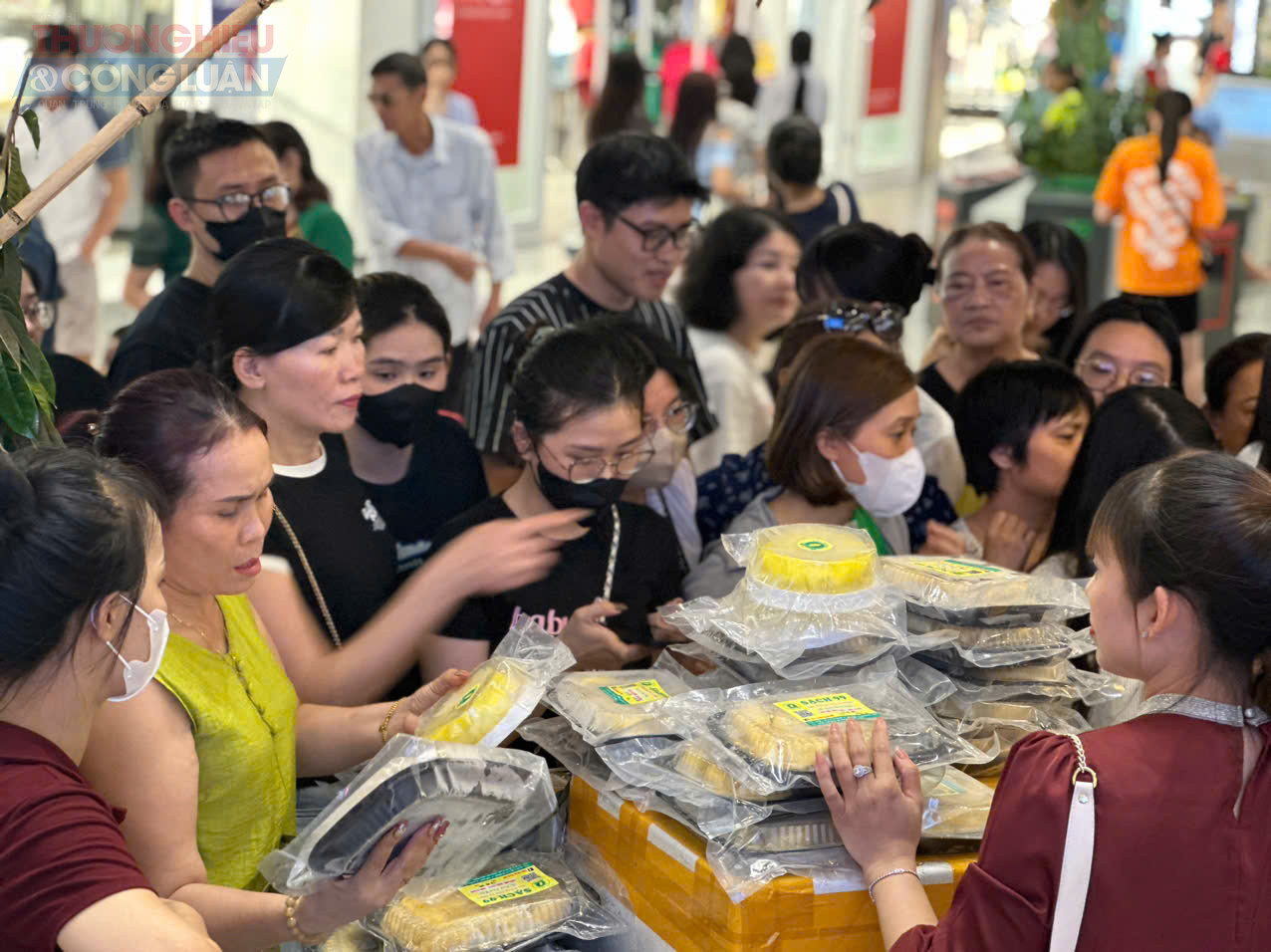  Ngày hội kết nối, tiêu thụ sản phẩm sầu riêng của thành phố Cần Thơ tại thành phố Hải Phòng