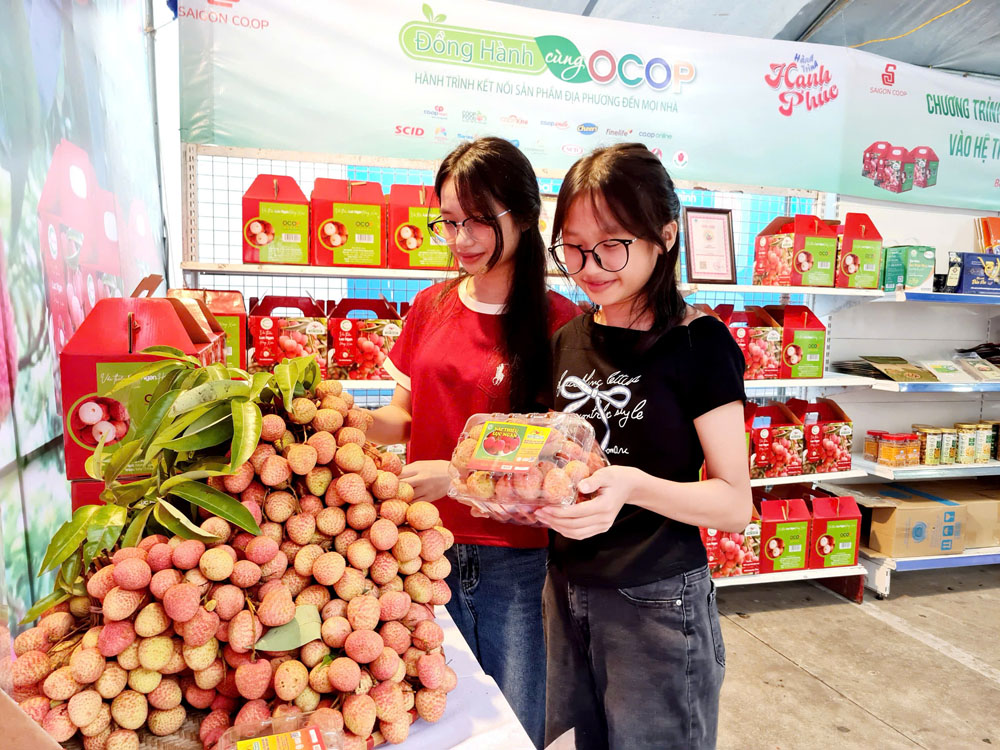 Vải thiều Lục Ngạn đạt OOOP 5 sao Vải thiều Lục Ngạn đạt OOOP 5 sao