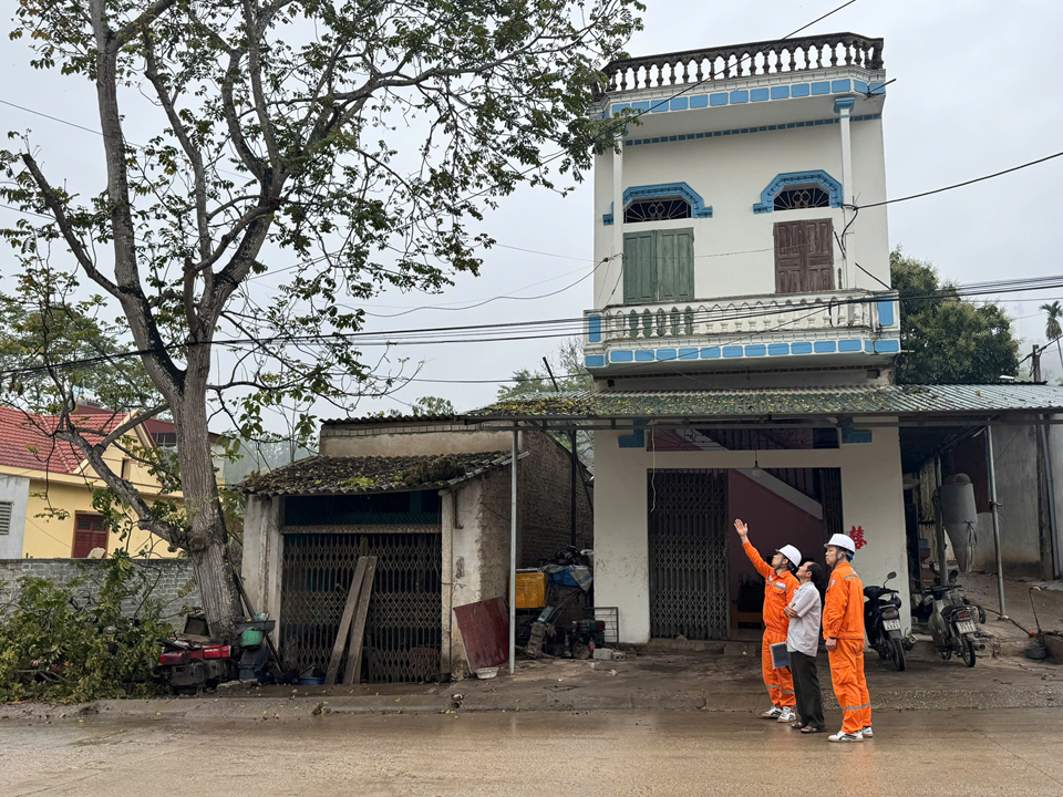 Công ty Điện lực Lạng Sơn đã tích cực triển khai, thực hiện đồng bộ nhiều giải pháp để bảo vệ hành lang an toàn lưới điện