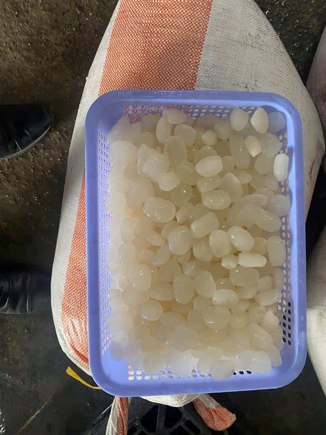 Số hạt đác không rõ nguồn gốc, xuất xứ. Ảnh: Công an tỉnh Bình Dương