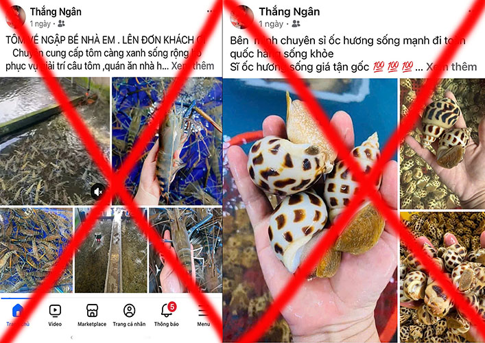 Khởi tố cặp vợ chồng lừa đảo bán hải sản "tươi ngon, giá rẻ" ở Lai Châu