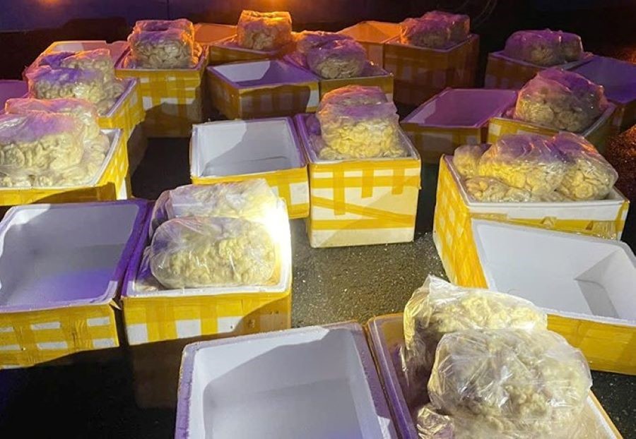 Lực lượng chức năng thu giữ 240kg chả mực đông lạnh để xử lý theo quy định pháp luật. Lực lượng chức năng thu giữ 240kg chả mực đông lạnh để xử lý theo quy định pháp luật.