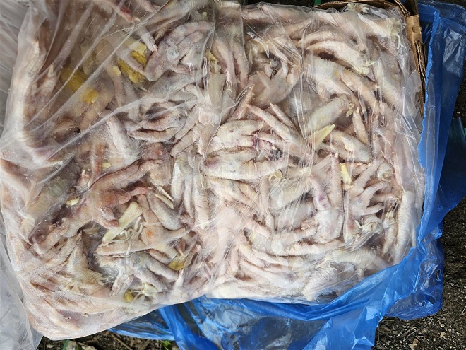 Số chân gà đông lạnh không rõ nguồn gốc bị phát hiện Số chân gà đông lạnh không rõ nguồn gốc bị phát hiện