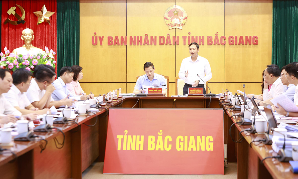 Đồng chí Nguyễn Việt Oanh Chủ tịch UBND tỉnh Bắc Giang phát biểu tại buổi làm việc.