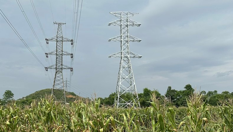 Nhiều khoảng néo của cụm Dự án đường dây 220kV Tương Dương – Đô Lương – Nam Cấm chưa thể kéo dây do vướng mắc mặt bằng