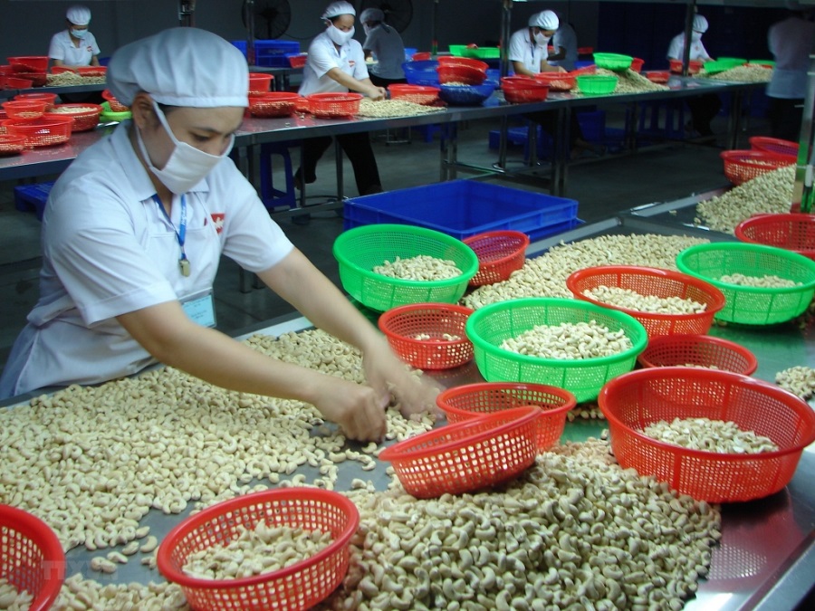 Cơ hội tham dự Hội chợ Thương mại nội khối châu Phi lần thứ 4 (IATF 2025)