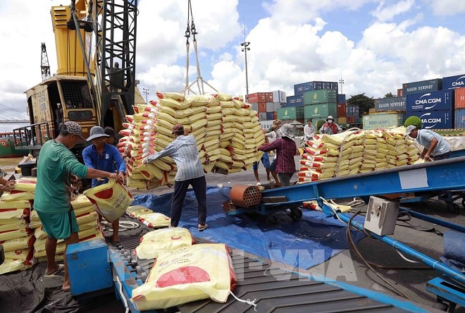 Gạo Việt tăng tốc cạnh tranh: Chất lượng vượt trội, giá cả hợp lý giúp chiếm lĩnh thị trường quốc tế