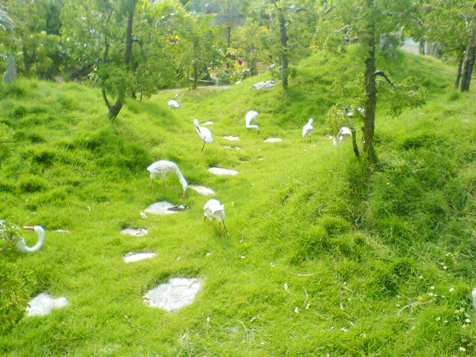 Vườn Quốc gia Giao Thủy, Nam Định - điểm đến du lịch hấp dẫn du khách