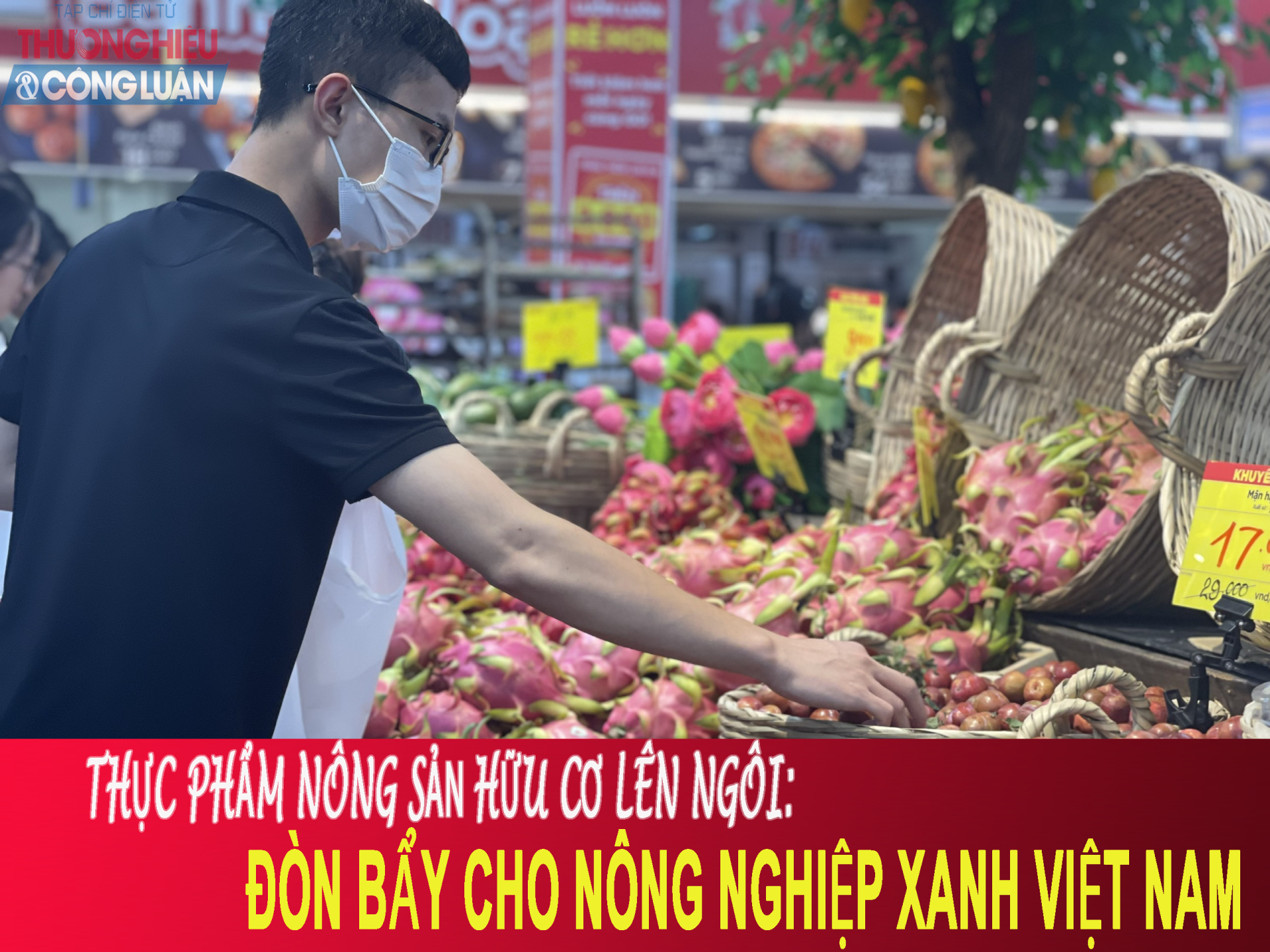 Thực phẩm nông sản hữu cơ lên ngôi: Đòn bẩy cho nông nghiệp xanh Việt Nam