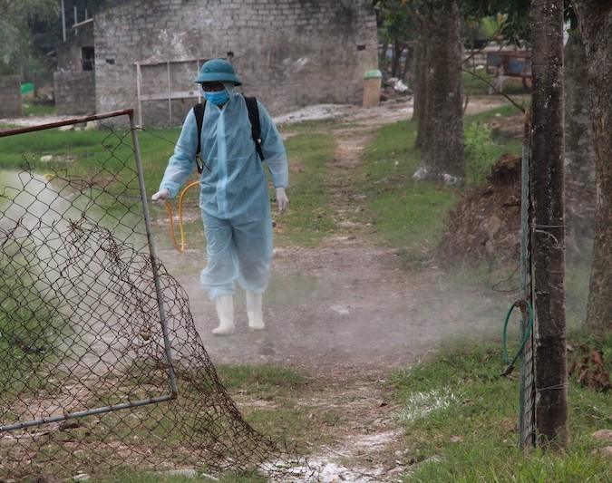 Thực hiện nghiêm túc công tác vệ sinh, khử trùng, tiêu độc môi trường, tiêu diệt mầm bệnh nguy hiểm. Ảnh: Lê Ngọc