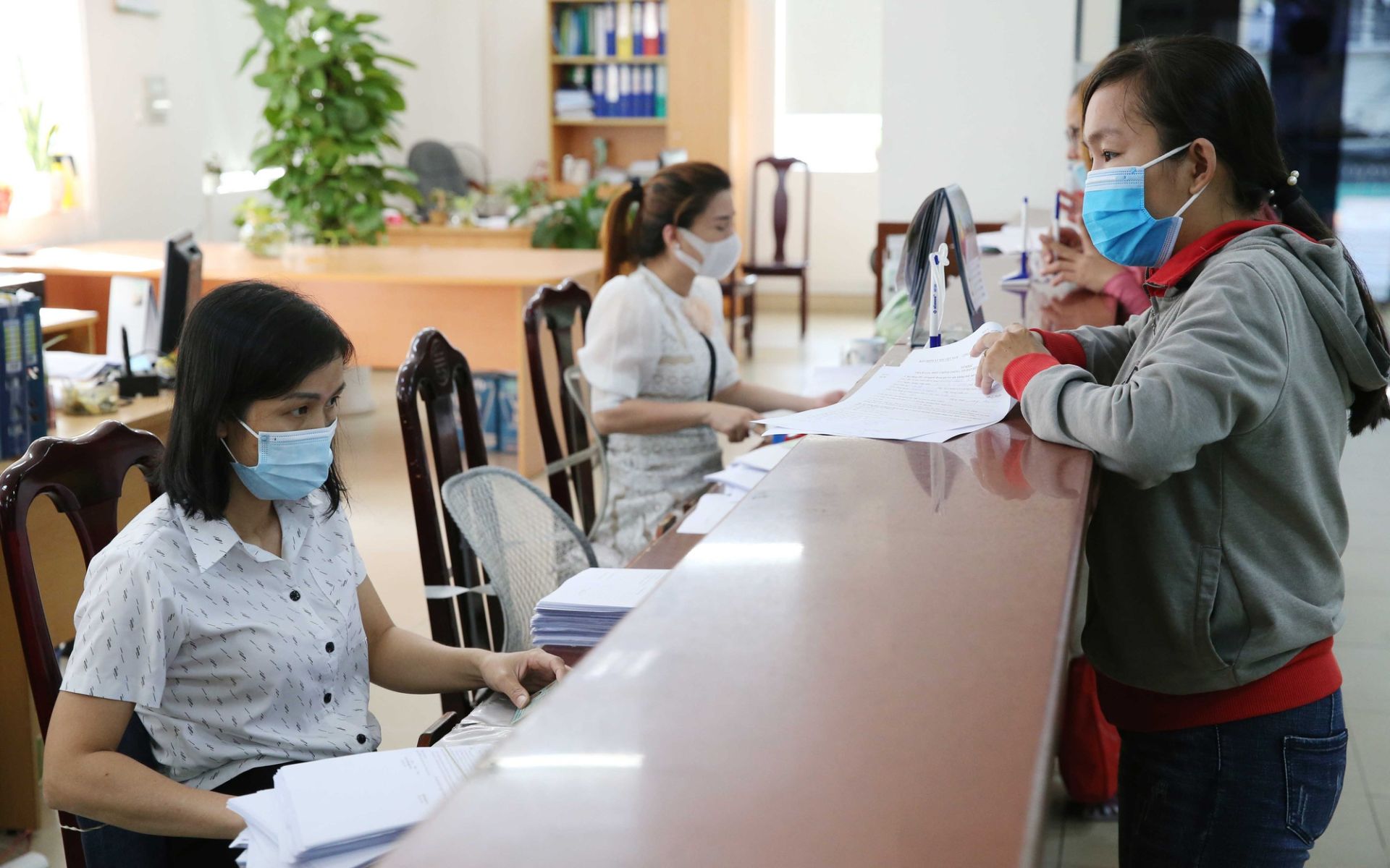 Ảnh VGP. Ảnh VGP.