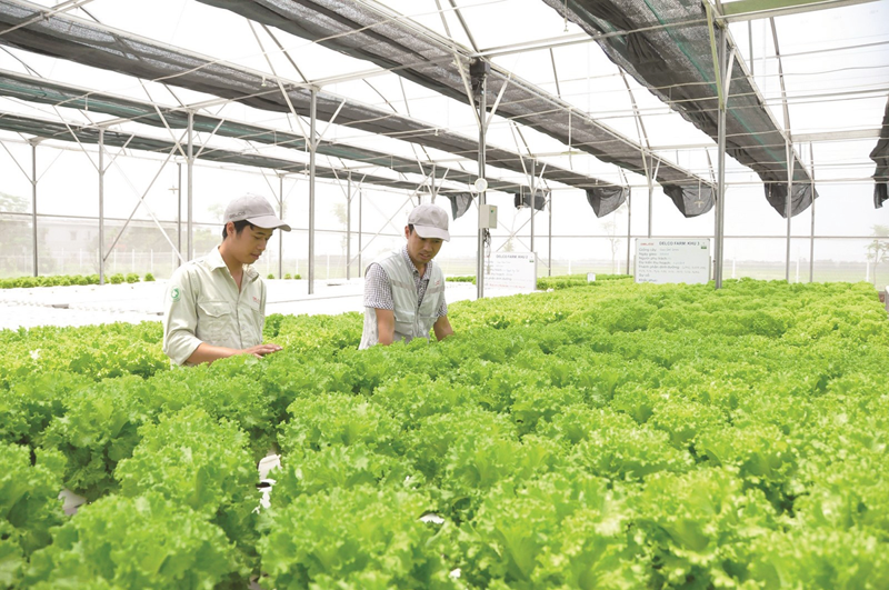 Bổ sung chính sách tín dụng khuyến khích nông nghiệp hữu cơ, tuần hoàn