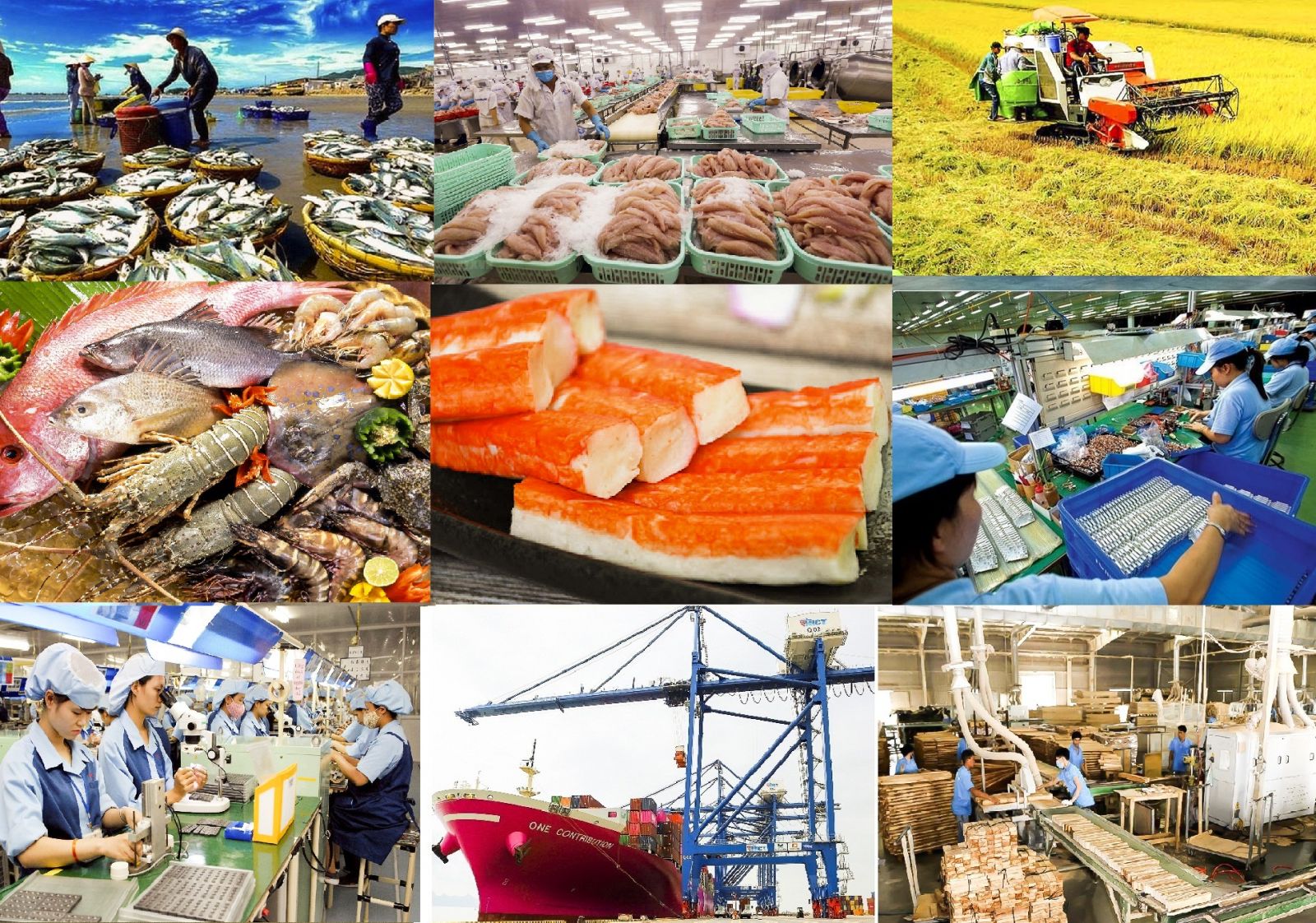 Tính chung trong 5 tháng đầu năm 2025, tổng trị giá xuất khẩu của Việt Nam đạt 180,23 tỷ USD, tăng 14% so với cùng kỳ năm trước. (Ảnh minh họa)