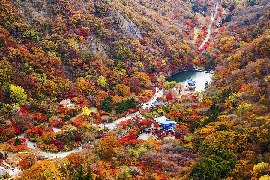 Naejangsan Mountain Naejangsan Mountain