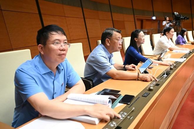Các đại biểu Quốc hội tham gia biểu quyết Các đại biểu Quốc hội tham gia biểu quyết