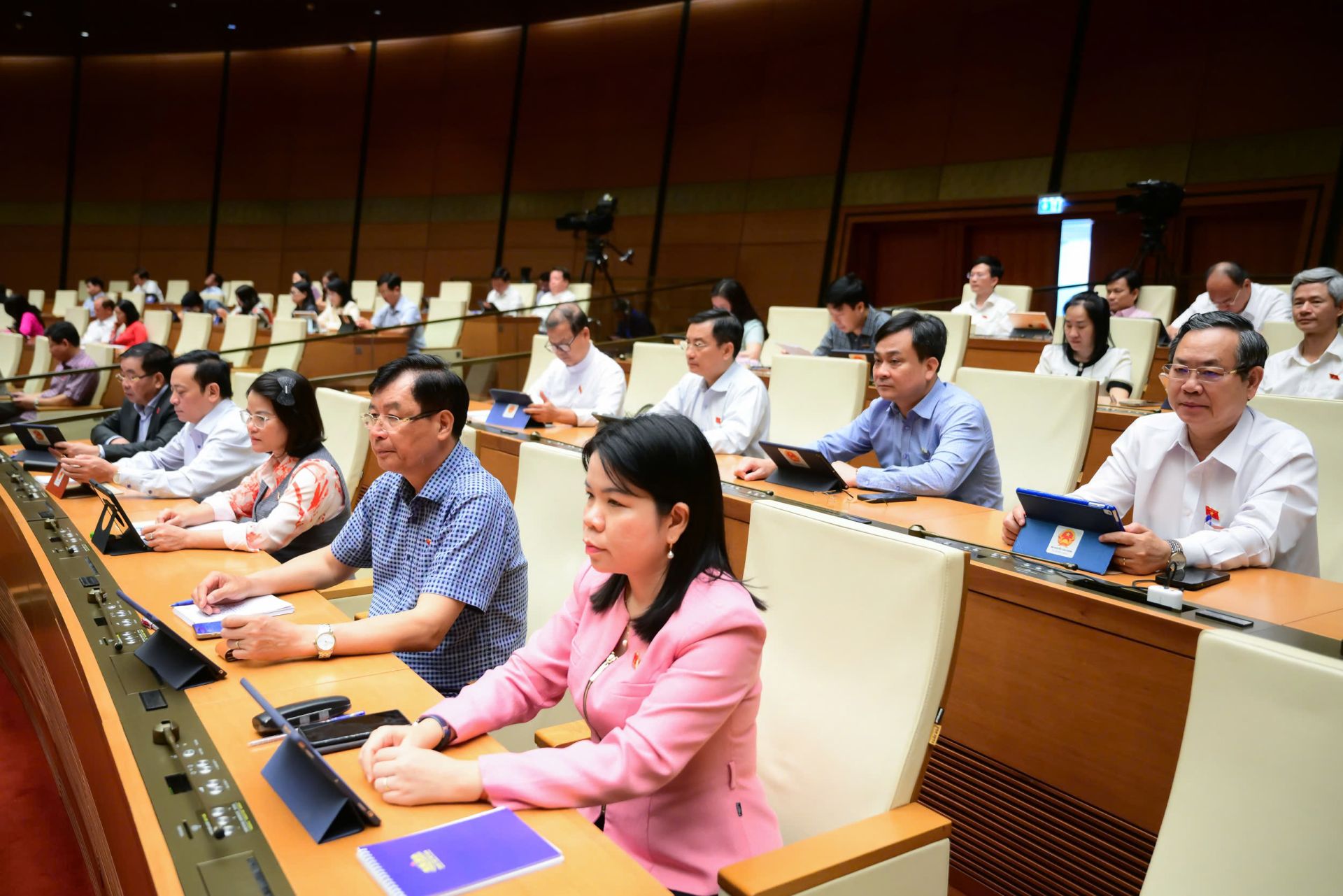 Các đại biểu dự Phiên họp