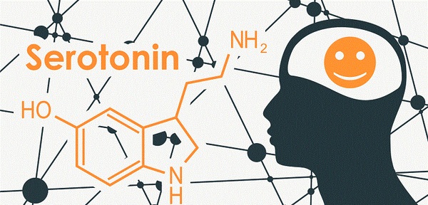Mất ngủ do thiếu serotonin: Thủ phạm thầm lặng ít ai ngờ