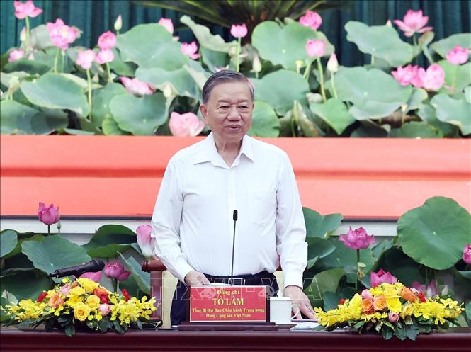 Tổng Bí thư Tô Lâm chủ trì buổi làm việc. Ảnh: Thống Nhất/TTXVN