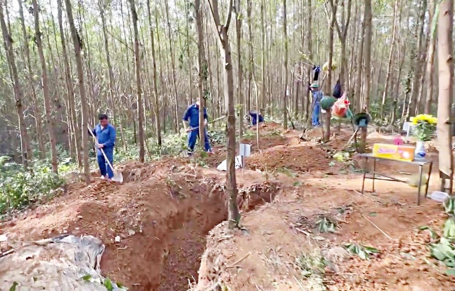 Quảng Trị: Phát hiện, cất bốc và quy tập 3 hài cốt liệt sĩ