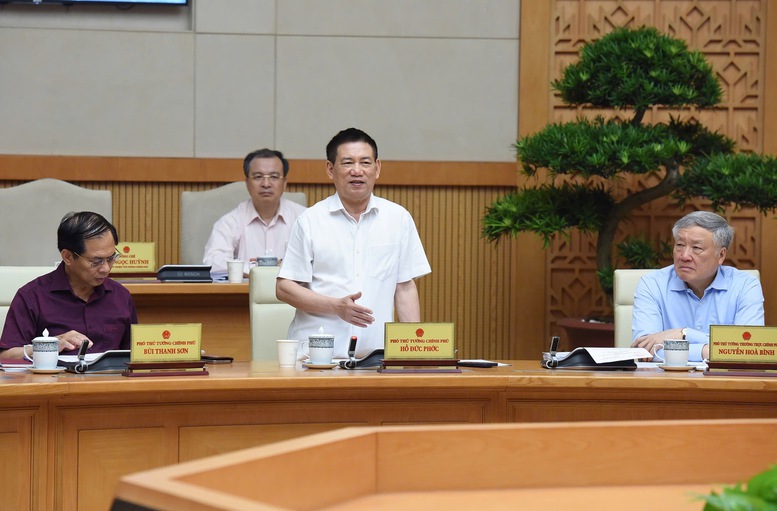 Phó Thủ tướng Hồ Đức Phớc phát biểu tại phiên họp - Ảnh: VGP/Nhật Bắc