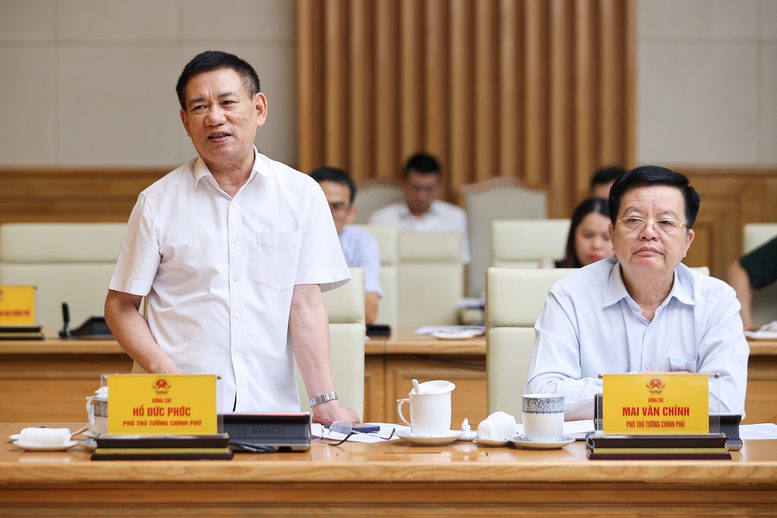 Phó Thủ tướng Hồ Đức Phớc phát biểu - Ảnh: VGP/Nhật Bắc