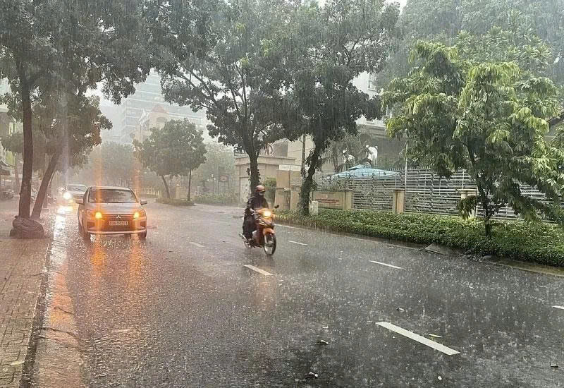 Thời tiết ngày 21/6/2025: Bắc Bộ nhiều nơi mưa như trút, nguy cơ lũ 'rình rập'