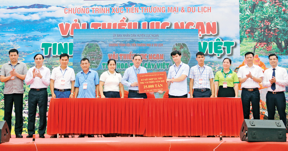 Các doanh nghiệp, hợp tác xã và hộ dân tại Lục Ngạn ký kết văn bản ghi nhớ hợp tác trong sản xuất, tiêu thụ vải thiều.