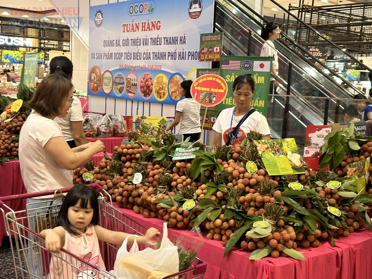 Tuần hàng quảng bá, giới thiệu vải thiều Thanh Hà và sản phẩm OCOP tiêu biểu