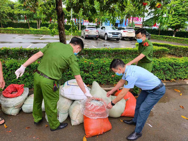 Sơn La: Phát hiện xe khách chở 883kg nội tạng động vật "hôi thối" đi tiêu thụ