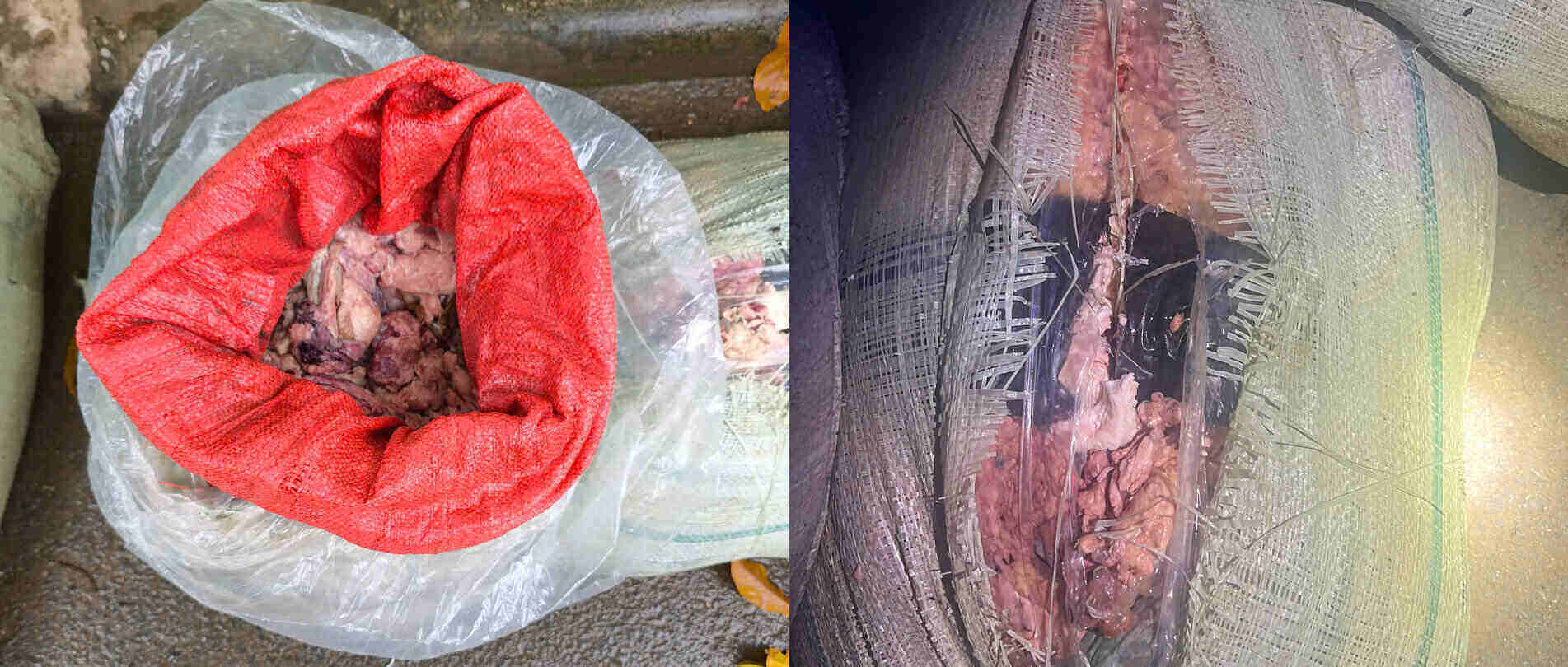 Số tang vật thu giữ đã bốc mùi hôi thối. Ảnh: Công an Sơn La