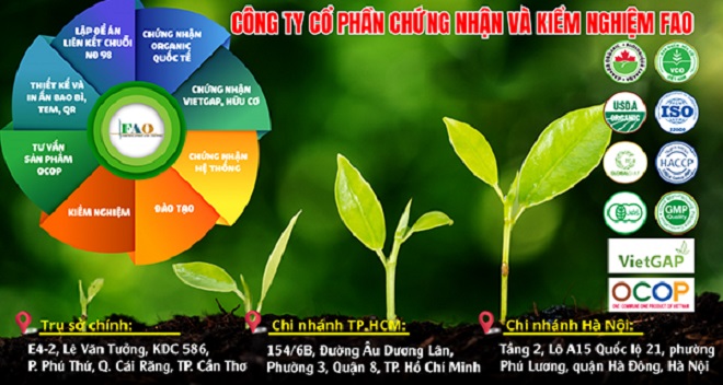 Công ty Kiểm nghiệm FAO bị phạt nặng, tước quyền hoạt động 9 tháng do vi phạm lĩnh vực chỉ định