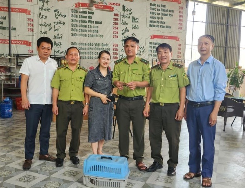 Cơ quan chức năng tiếp nhận cá thể rùa vàng do chị Trang giao nộp.