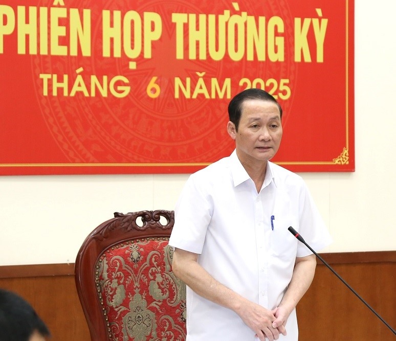 Chủ tịch UBND tỉnh Đỗ Minh Tuấn phát biểu tại phiên họp.