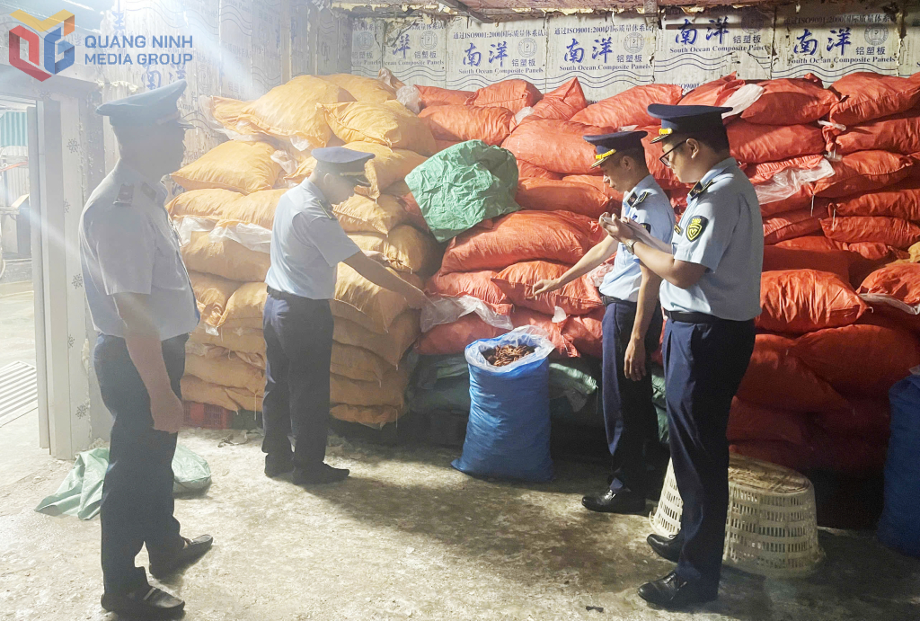 Phát hiện, bắt giữ, xử phạt 322 cơ sở, tổ chức, cá nhân vi phạm trong sản xuất, chế biến, kinh doanh thực phẩm