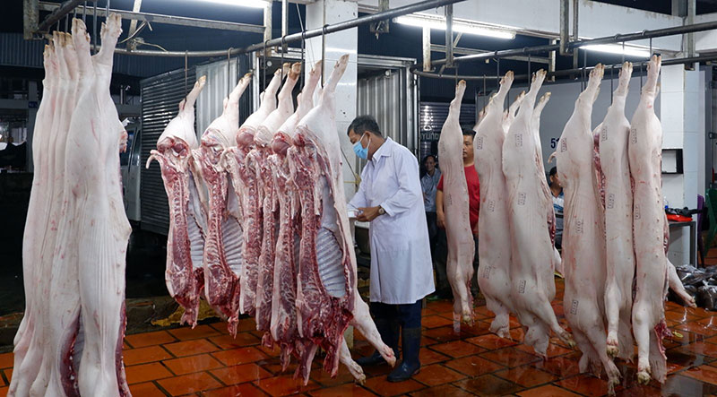 Hà Nội vẫn gặp khó trong kiểm soát hoạt động giết mổ động vật