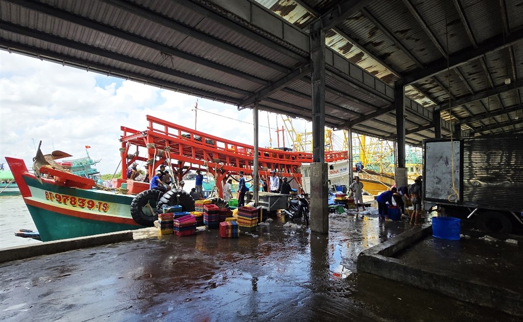 Tập trung triển khai các biện pháp cấp bách chống khai thác IUU