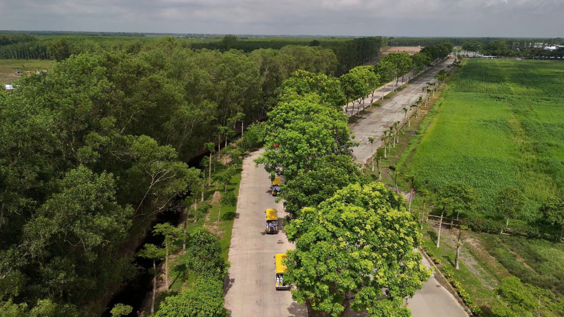 Xe điện cùng với xe đạp là những loại phương tiện di chuyển phổ biến bên trong trang trại (Ảnh: Văn Thành).