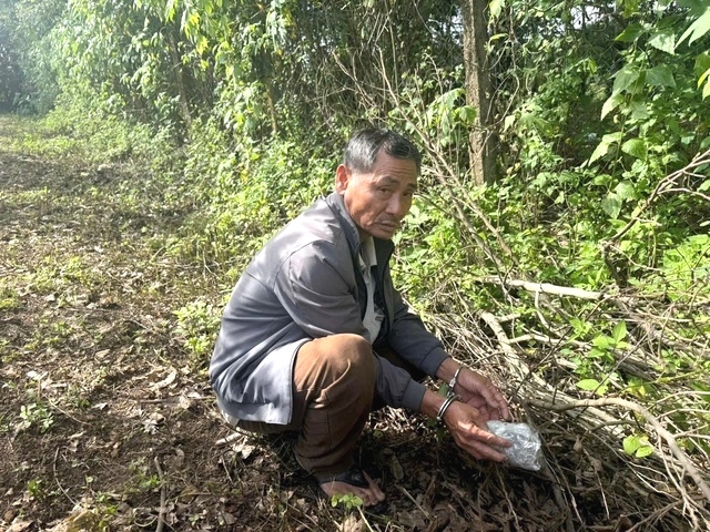 Đối tượng Trần Huy Quang cất giấu ma túy trong khu vườn Đối tượng Trần Huy Quang cất giấu ma túy trong khu vườn