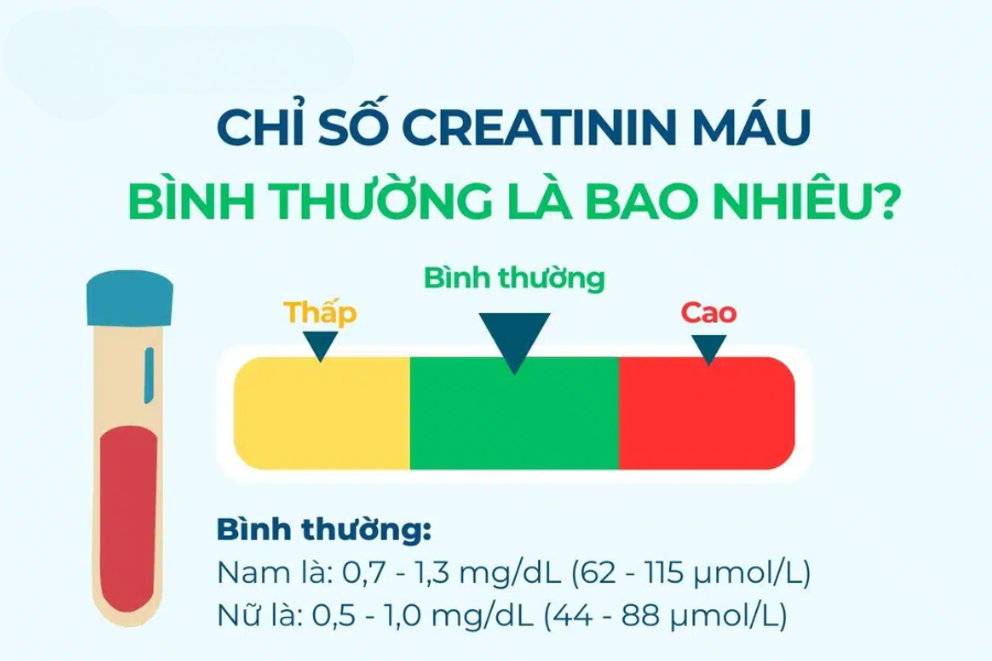 Suy thận ngay cả khi creatinin vẫn còn trong giới hạn bình thường