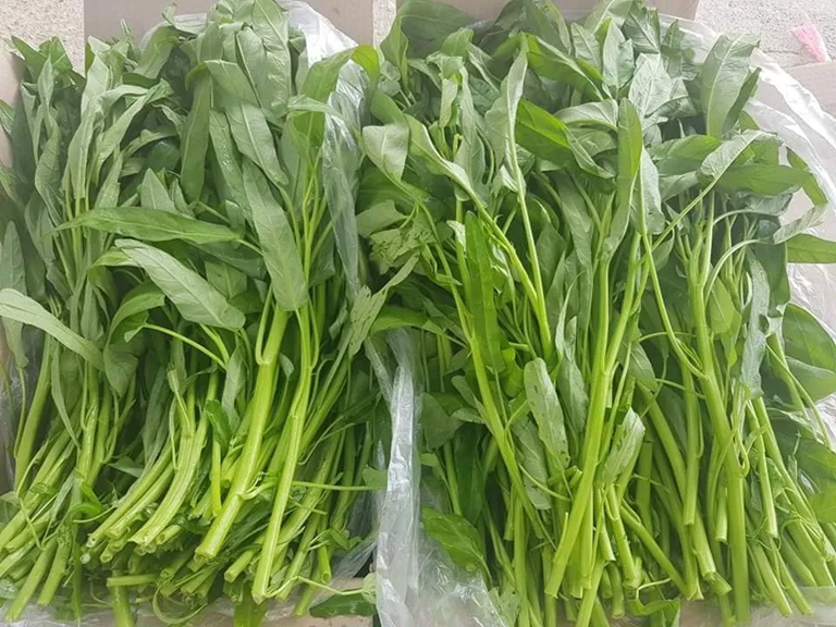 Loại rau dân dã trong bữa cơm người Việt nhưng lại giàu giá trị dinh dưỡng bất ngờ