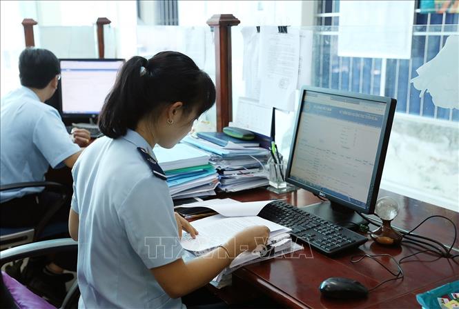 Hoạt động nghiệp vụ tại Chi cục Hải quan Hòa Trung (Cục Hải quan Cà Mau). Ảnh: Phạm Hậu/TTXVN