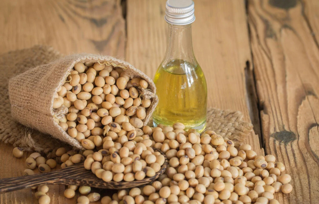 Dầu đậu nành tốt cho sức khỏe Dầu đậu nành tốt cho sức khỏe