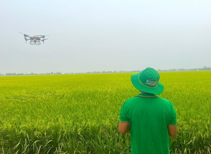 Việt Nam đặt mục tiêu 2,5 triệu ha diện tích áp dụng canh tác trồng trọt giảm phát thải vào năm 2030. Ảnh