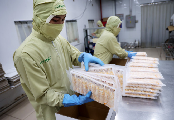 Đóng gói sản phẩm tôm chế biến xuất khẩu đi Nhật Bản. (Ảnh: Hồng Đạt/TTXVN)