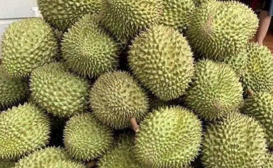 Giá sầu riêng hôm nay 30/6: Thị trường ổn định