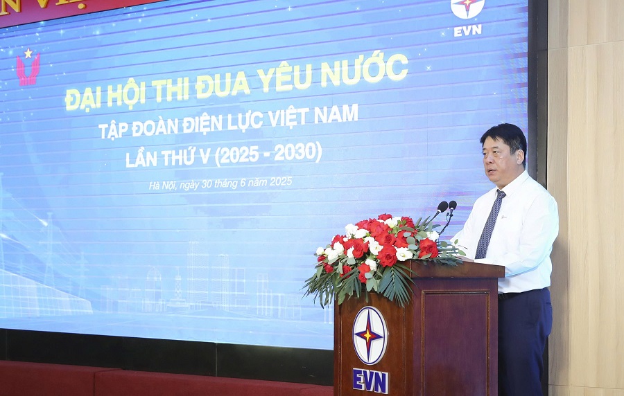 Tổng Giám đốc EVN Nguyễn Anh Tuấn phát biểu