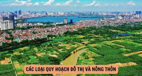 Quyết định quy định trình tự, thủ tục phê duyệt điều chỉnh cục bộ Quy hoạch