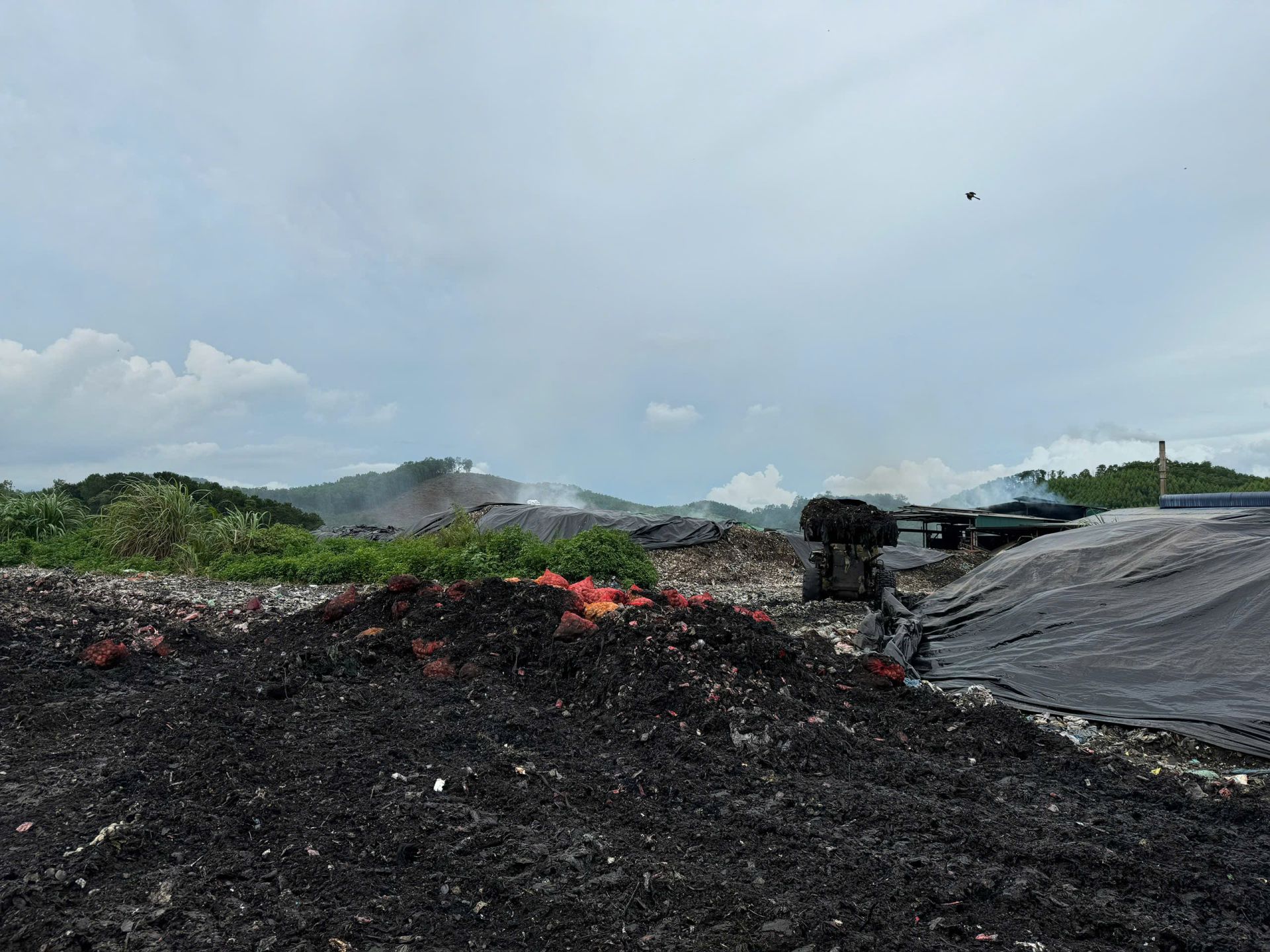 Toàn bộ tang vật vi phạm (ngao, hàu) được tiêu hủy tại nhà máy xử lý chất thải rắn tại thành phố Móng Cái Toàn bộ tang vật vi phạm (ngao, hàu) được tiêu hủy tại nhà máy xử lý chất thải rắn tại thành phố Móng Cái