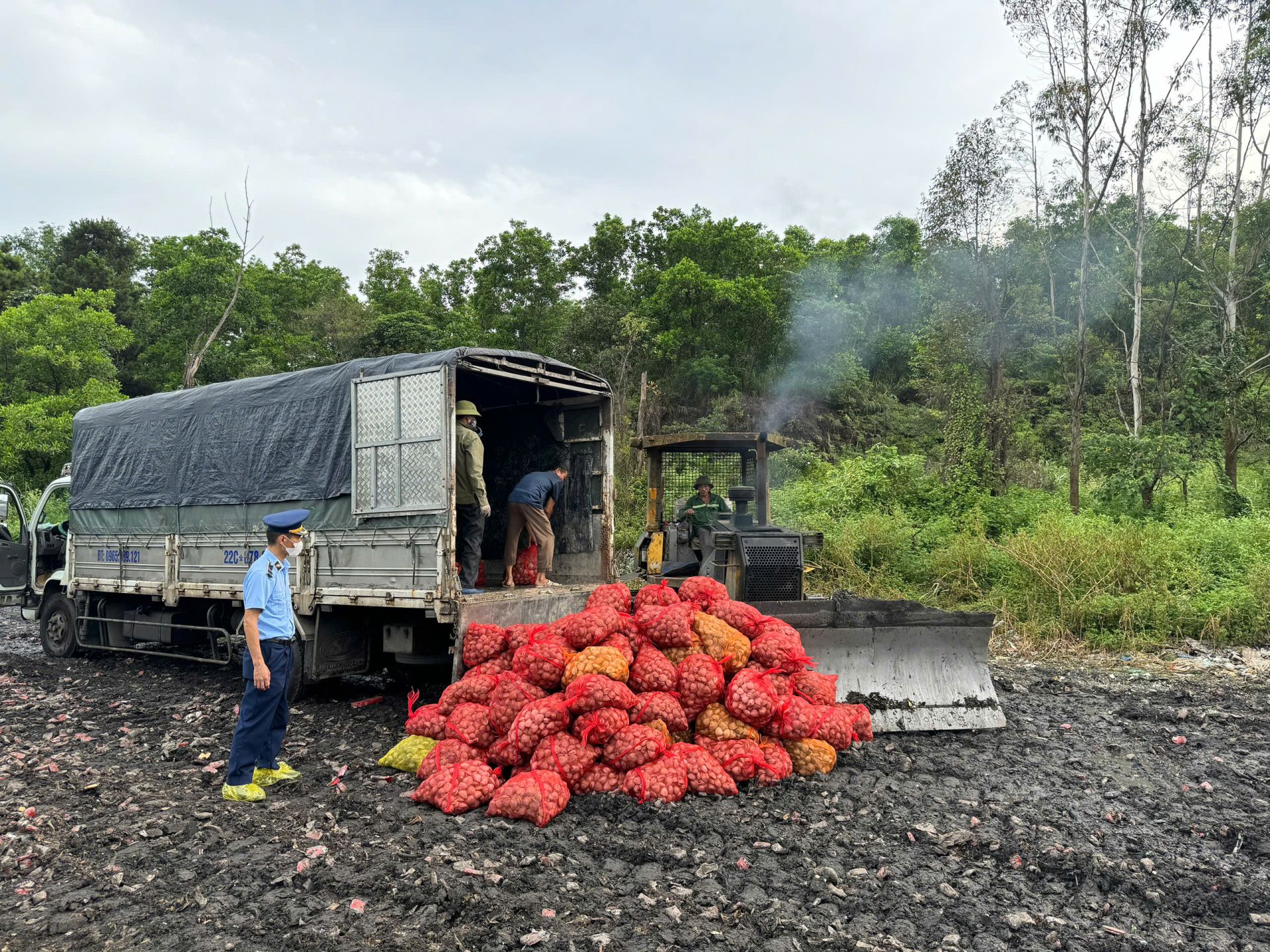 Đội QLTT số 1 khám phương tiện vận chuyển ngao không rõ nguồn gốc, xuất xứ Đội QLTT số 1 khám phương tiện vận chuyển ngao không rõ nguồn gốc, xuất xứ